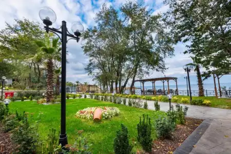 Santana - 242