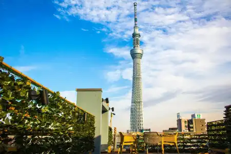 Playsis East Tokyo - 20