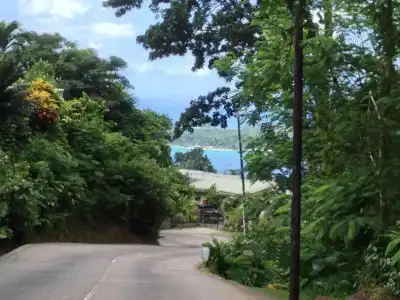 Papaya Guesthouse - 33