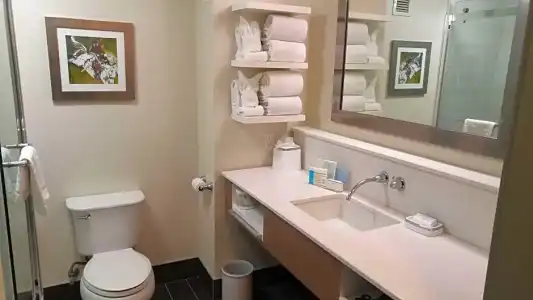 Hampton Inn & Suites By Hilton Calgary- University Northwest - 75
