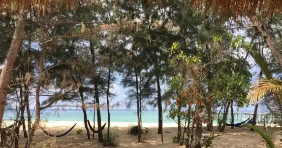 Robinson Bungalows - 15