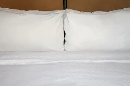 Four Points by Sheraton Philadelphia Northeast - 47