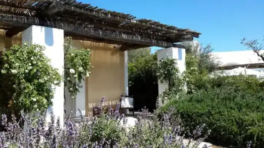 Masseria L'Antico Frantoio - 15