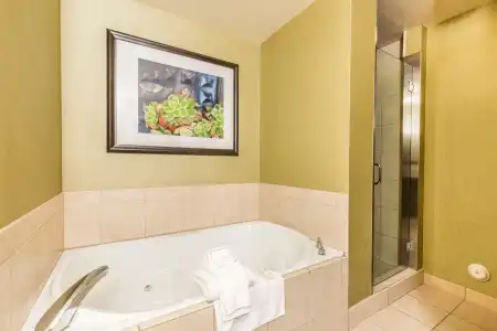 Hilton Garden Inn St. George - 8