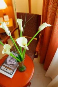 Marhaba Resort - 57