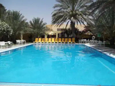 Sun Palm - 4