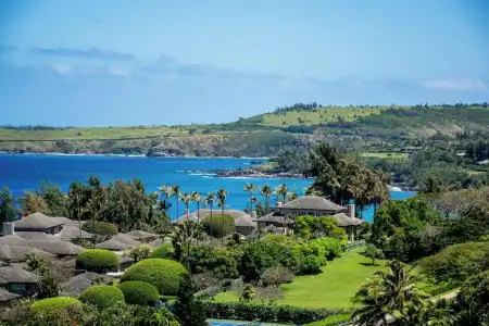 Kapalua Villas Maui - 396