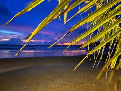 Noble House Beach Resort - 95