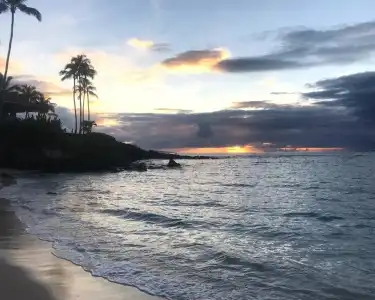 Come to Maui- Beautiful 2BD/3BA OceanView Kapalua Ridge Villa - 13