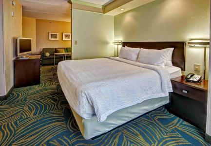 SpringHill Suites Marriott Norfolk Old Dominion University - 17