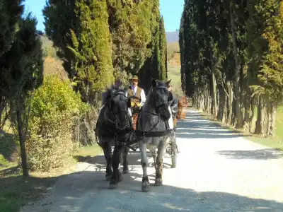 Giovanni da Verrazzano - 4