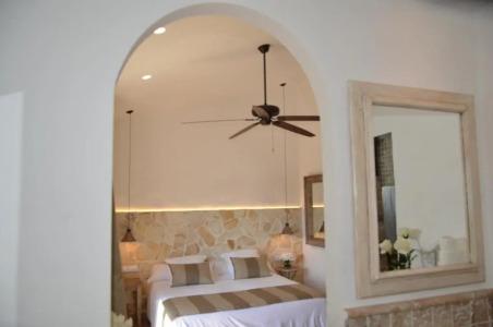 Galena Mas Comangau - 50