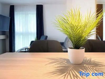 Holi City Apart Berlin - 106