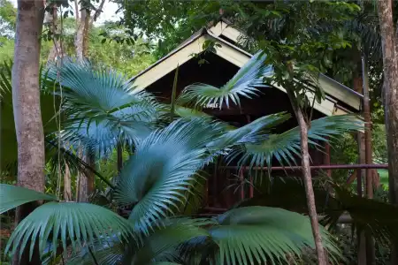 Khao Sok Riverside Cottage - 128