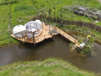 Green Land Bubble Glamping - 36