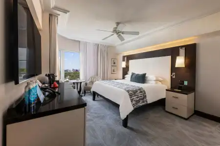 The Palms & Spa - 2