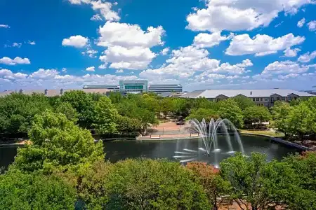 Dallas/Plano Marriott at Legacy Town Center - 92