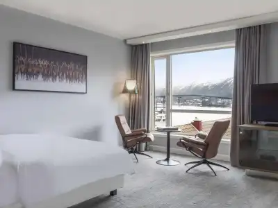 Radisson Blu, - 37