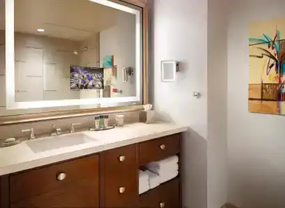Omni Dallas - 88