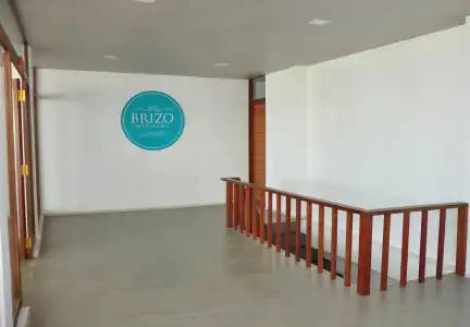 Brizo - 15