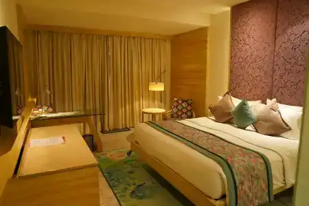 Royal Orchid Jaipur, Tonk Road - 2