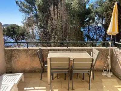 Le Provençal - 110