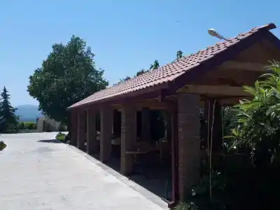 Shaloshvili's Cellar - 0