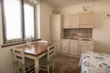 Rosa di Assisi - 114