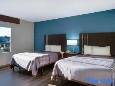 Toyoko Inn JR Wakayama Station Higashi - 113
