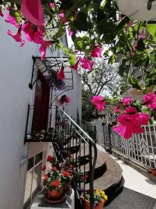 City Boutique Inn - 21