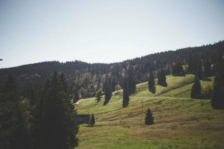 Boutique Kokoschinski - 14