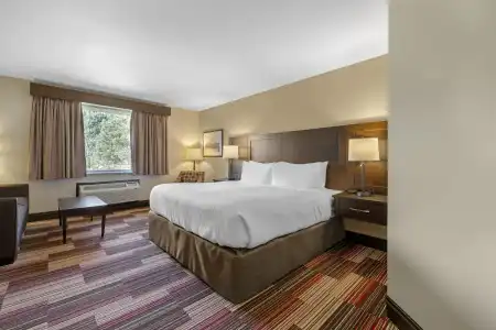 Best Western Plus Stoneridge Inn & Conference Centre - 48