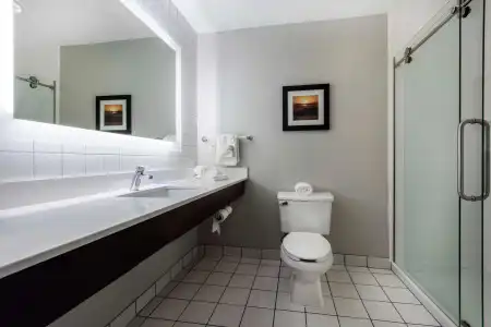 Best Western Erie Inn & Suites - 8