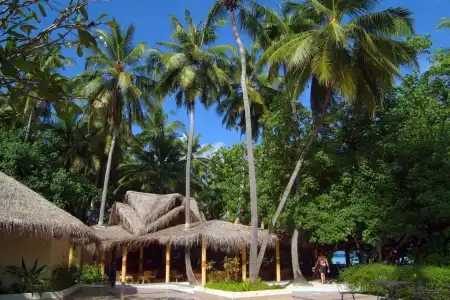 Biyadhoo Island Resort - 13