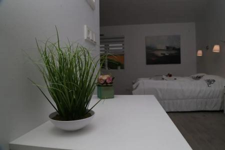 Country Dream - Langholt 2 - 163