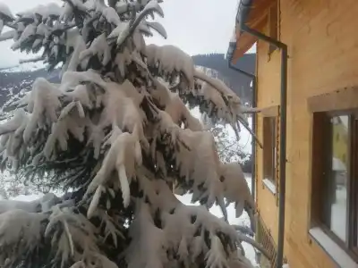Guest house Zatishniy dvir - 10