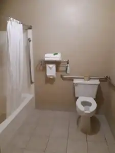 Lavissh Inn and Suites - 36