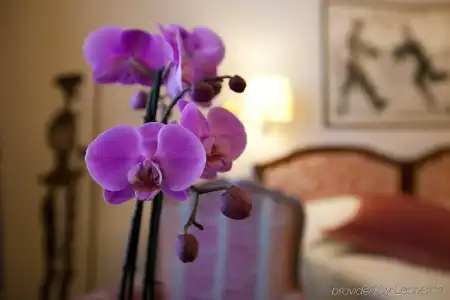 Victoria - 2