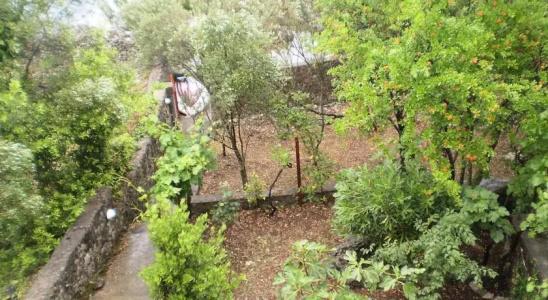 Krasici Green House - 10