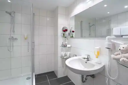 Best Western Rosenau - 45