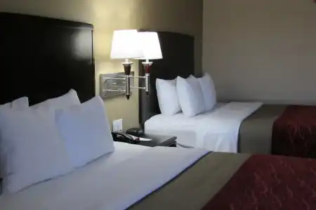 Quality Inn & Suites Lubbock South - 35