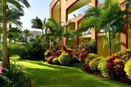Pestana Promenade Ocean Resort - 20