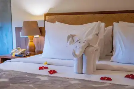 Purana Suite Ubud - 34