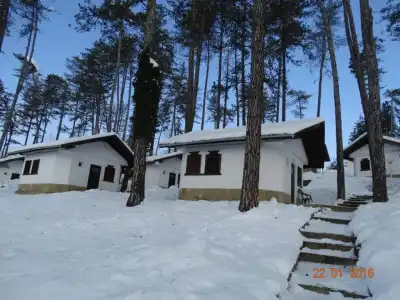 Complex Brashlyan - 29