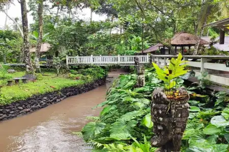 Ubud Sari Health Resort - 5