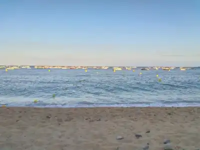 Mediterrani - 7