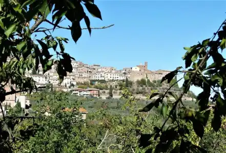 Agriturismo La Pietriccia - 66