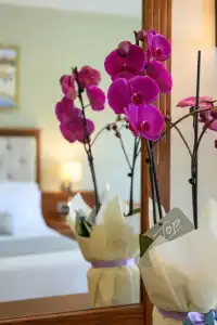 Vantaris Palace - 51