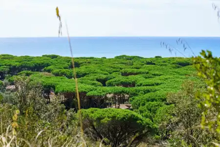 Residence Solemaremma - 46