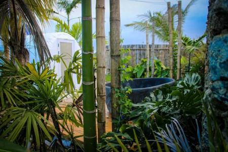 Green Land Bubble Glamping - 48